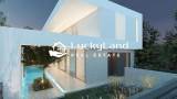 slide1 thumbnail