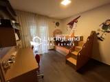 slide1 thumbnail
