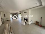 slide1 thumbnail