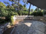 slide1 thumbnail